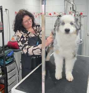 toilette avec Roselyne